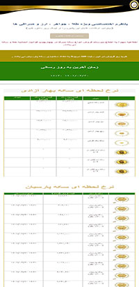 Coin City Website Design - mobile version