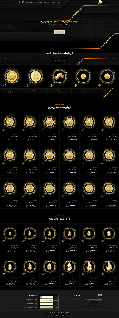 Coin City Website Design