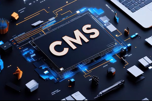 custom cms